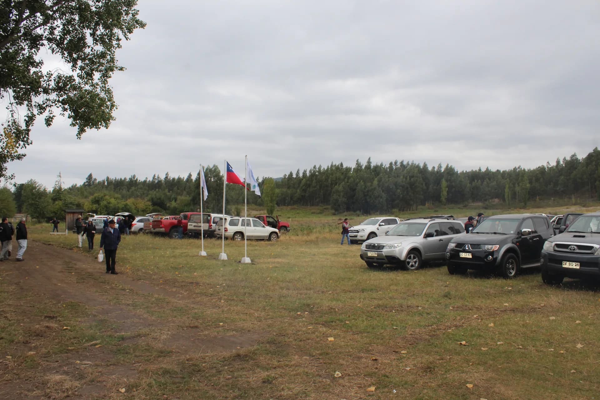 CAMPEONATO DE RECORRIDO DE CAZA PLATILLO